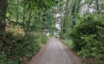 Fraenkischer Rotweinwanderweg 6