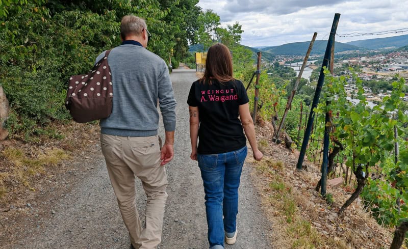 Fränkischer Rotweinwanderweg 
