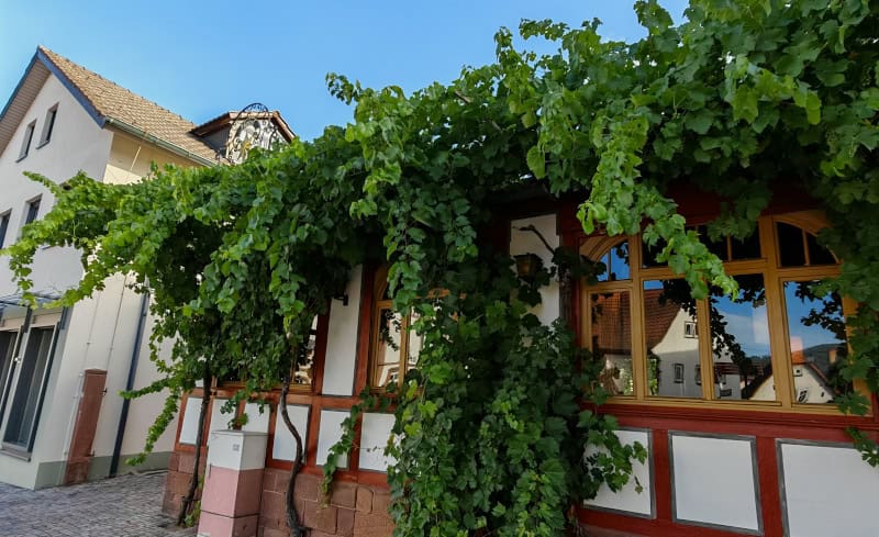Hotel Weinhaus Stern Bürgstadt