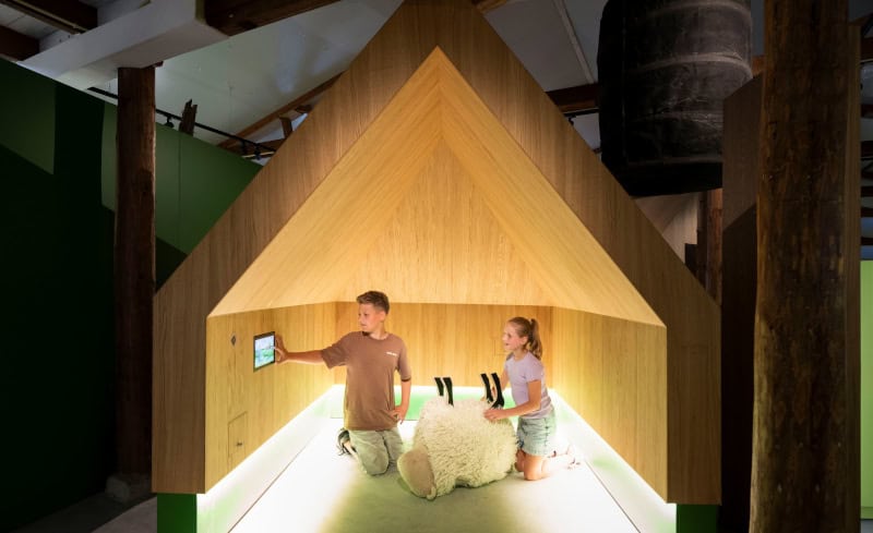 Texel bietet aufregenden Museums-Sommer - Kultur frisch inszeniert 2 Spielerische Wissensvermittlung zum Texelschaf, Foto Jorn van Eck