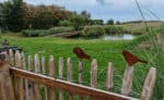 Boutique Hotel Texel 20 Garten