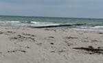 Hiddensee Vitte 19 Strand