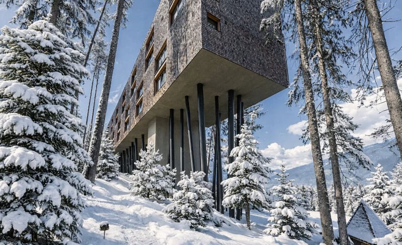 My Arbor – Dolomites