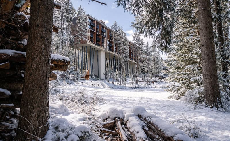 My Arbor – Dolomites