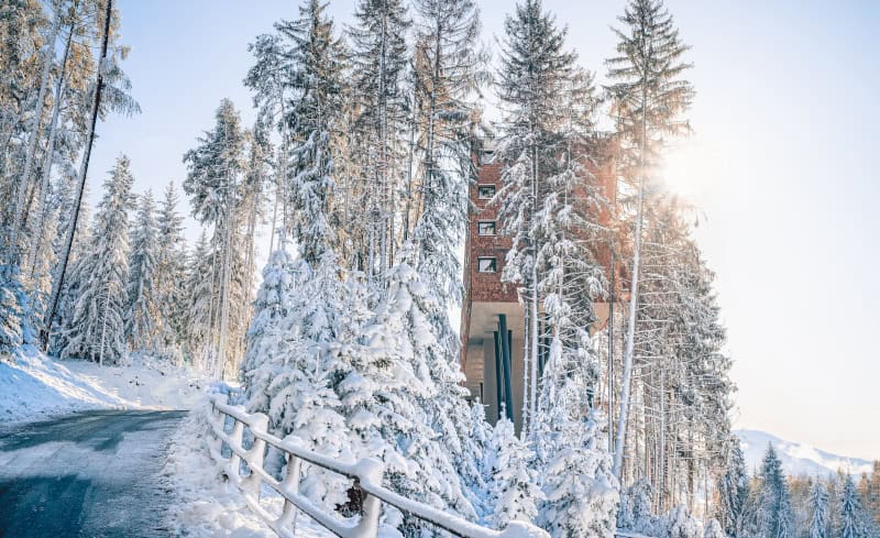 My Arbor – Dolomites