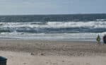 De Koog 8 Strand