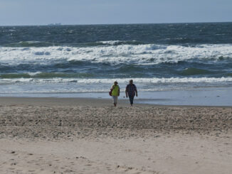 De Koog 9 Strand