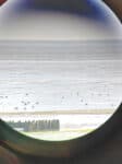 Erlebnisse mit dem E-Bike auf der Insel Texel enddecken 150 Naturgebiet Utopia 103