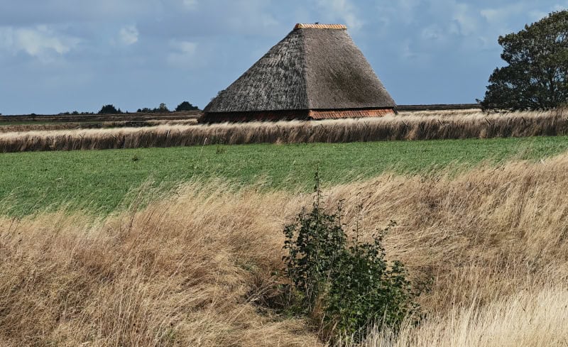 Erlebnisse mit dem E-Bike auf der Insel Texel enddecken 94 E-Bike-Tour