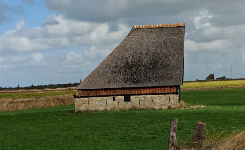 Erlebnisse mit dem E-Bike auf der Insel Texel enddecken 77 Texel, „Knapzaktocht“- wandern, De Waddel, Schafscheunen
