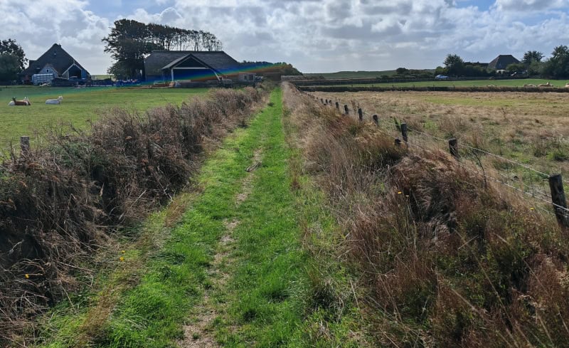 Erlebnisse mit dem E-Bike auf der Insel Texel enddecken 76 Texel, „Knapzaktocht“- wandern, De Waddel