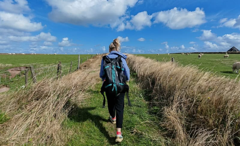 Erlebnisse mit dem E-Bike auf der Insel Texel enddecken 69 Texel, „Knapzaktocht“- wandern, De Waddel