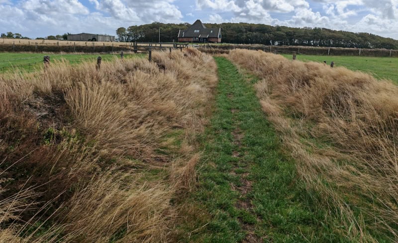 Erlebnisse mit dem E-Bike auf der Insel Texel enddecken 84 Texel, „Knapzaktocht“- wandern, De Waddel