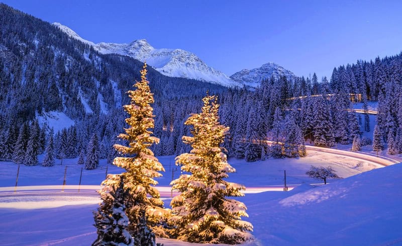 Weihnachten auf Schienen für Groß und Klein mit der Rhätische Bahn 1 Weihnachtsbäume in Litzirüti © RhB, Erik Süsskind